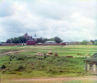 Спасо-Бородинский монастырь. Вид от деревни Семеновское.